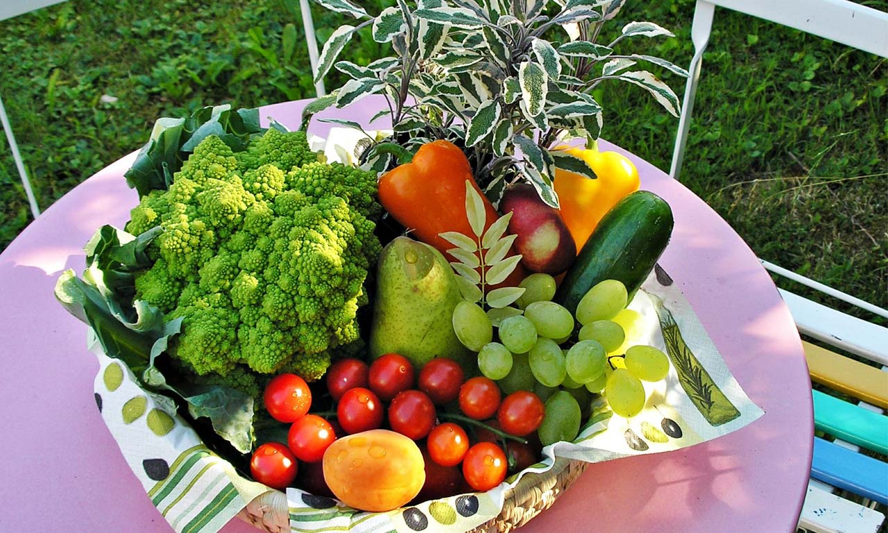 手机攻击器APP下载