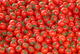 网络ddos监测分析工具