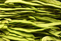 【便携版软件包】免安装的网页攻击平台